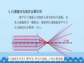 沪科版（2024）物理八年级上册 第四章 第一节 凸透镜与凹透镜课件