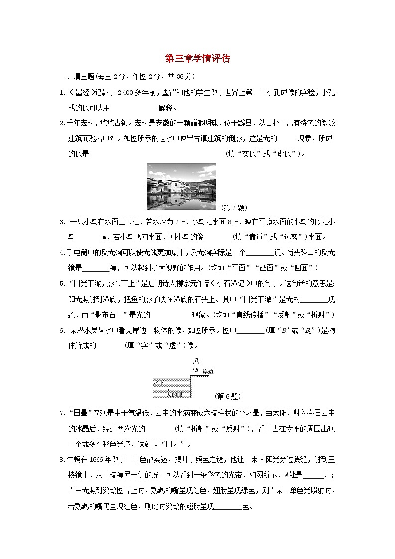 安徽省2024八年级物理上册第三章光的世界学情评估试卷（附答案沪科版）第1页