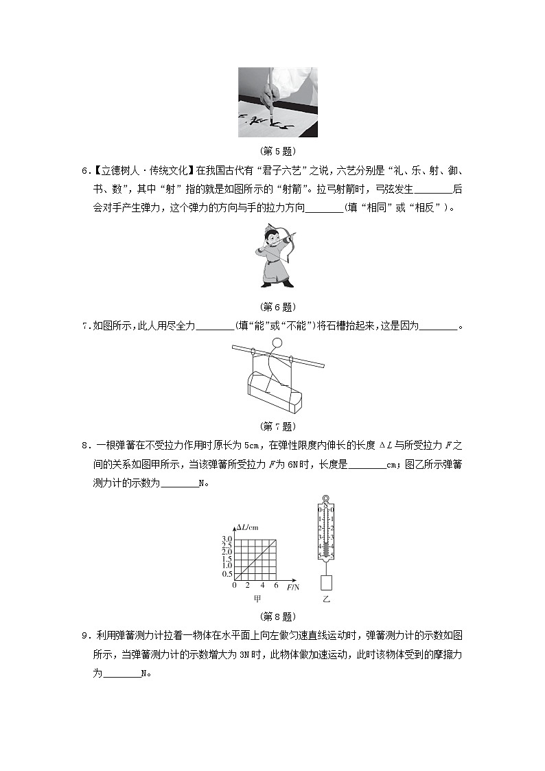 安徽省2024八年级物理上册第六章熟悉而陌生的力综合素质评价试卷（附答案沪科版）第2页
