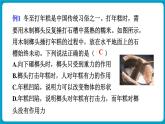 人教版（2024）物理八年级下册--第七章 力 章末复习（课件）