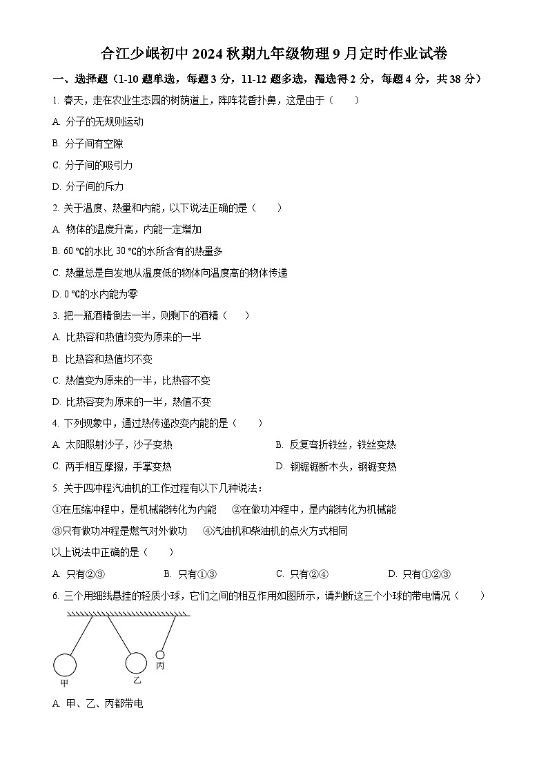 四川省泸州市合江县少岷初中2024-2025学年九年级上学期9月月考物理试题（原卷版）-A4第1页