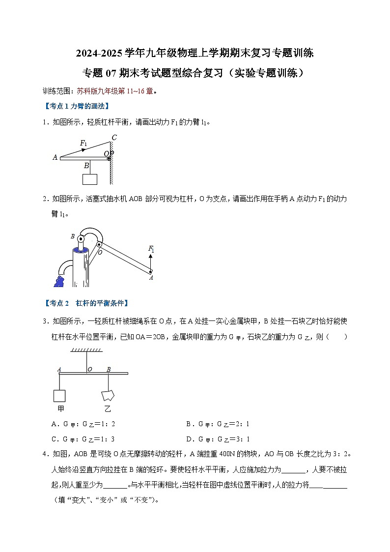专题07期末考试题型综合复习（实验专题训练）-2024-2025学年九年级物理上学期期末复习专题训练（苏科版）第1页