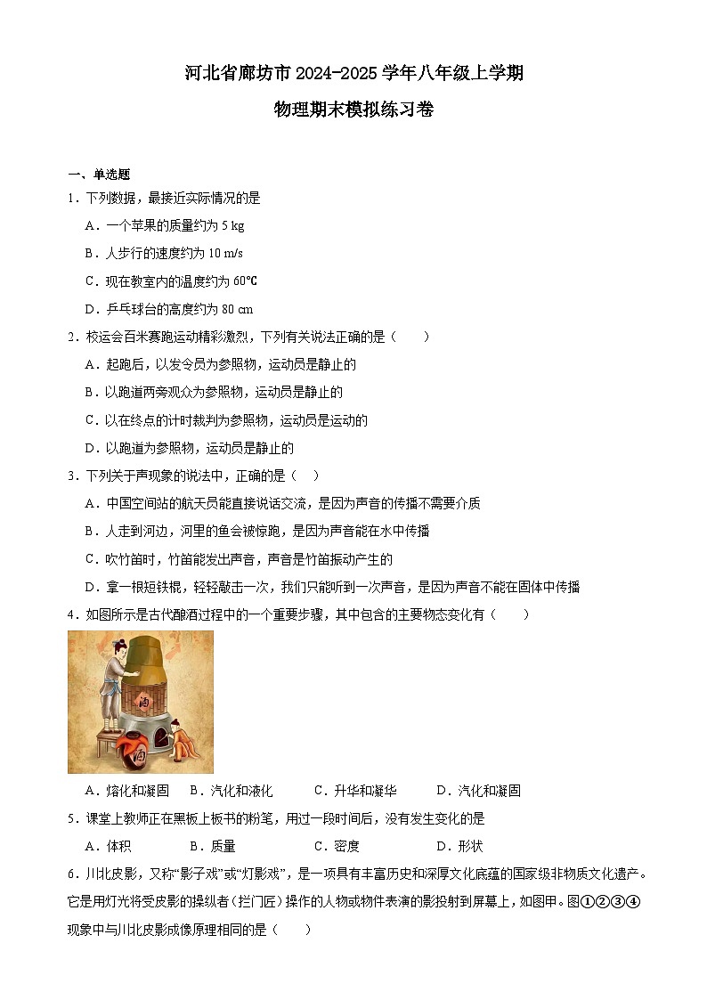 河北省廊坊市2024-2025学年八年级上学期物理期末模拟练习卷-A4第1页