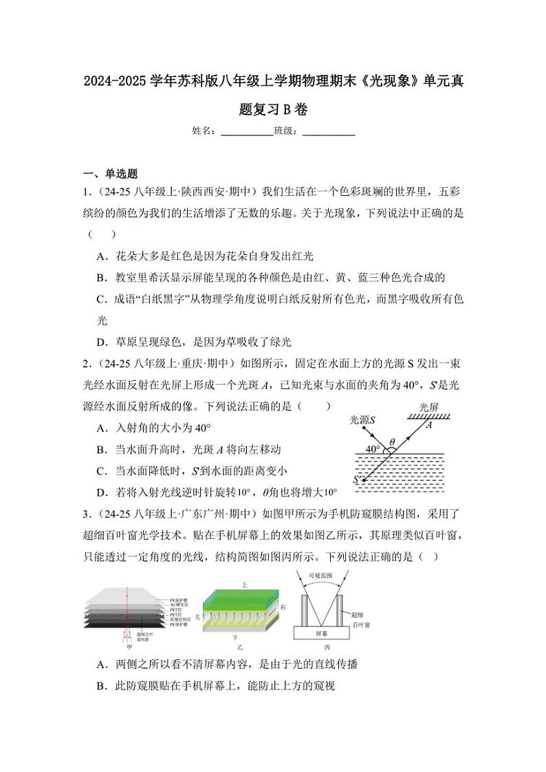 2024-2025学年苏科版八年级上学期物理期末《光现象》单元真题复习B卷（附答案）第1页