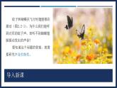 2.2 聲音的特性-初中物理八年級上冊 同步教學(xué)課件+導(dǎo)學(xué)案+同步練習(xí)（人教版2024）