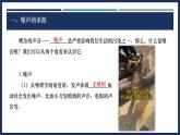 2.4 噪聲的危害和控制-初中物理八年級上冊 同步教學課件+導學案+同步練習（人教版2024）
