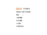 初中物理新沪科版八年级全册绪论 打开物理世界的大门作业课件2024秋
