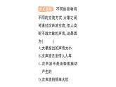 初中物理新滬科版八年級(jí)全冊(cè)第二章第三節(jié) 超聲波與次聲波作業(yè)課件2024秋