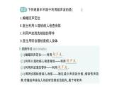 初中物理新滬科版八年級(jí)全冊(cè)第二章第三節(jié) 超聲波與次聲波作業(yè)課件2024秋