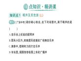 初中物理新滬科版八年級(jí)全冊(cè)第二章第四節(jié) 噪聲控制與健康生活作業(yè)課件2024秋