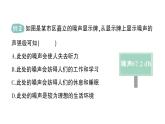 初中物理新滬科版八年級(jí)全冊(cè)第二章第四節(jié) 噪聲控制與健康生活作業(yè)課件2024秋