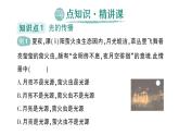 初中物理新滬科版八年級(jí)全冊(cè)第三章第一節(jié) 探究：光的反射定律作業(yè)課件2024秋
