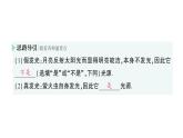 初中物理新滬科版八年級(jí)全冊(cè)第三章第一節(jié) 探究：光的反射定律作業(yè)課件2024秋
