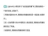初中物理新滬科版八年級(jí)全冊(cè)第三章第一節(jié) 探究：光的反射定律作業(yè)課件2024秋