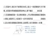 初中物理新滬科版八年級(jí)全冊(cè)第三章第二節(jié) 探究：平面鏡成像的特點(diǎn)作業(yè)課件2024秋