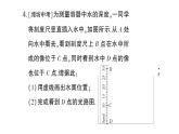 初中物理新滬科版八年級(jí)全冊(cè)第三章微專(zhuān)題五 光的折射作圖作業(yè)課件2024秋