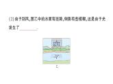 初中物理新滬科版八年級(jí)全冊(cè)第三章第三節(jié) 光的折射作業(yè)課件2024秋