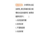 初中物理新滬科版八年級(jí)全冊(cè)第三章第三節(jié) 光的折射作業(yè)課件2024秋