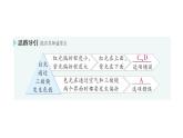初中物理新沪科版八年级全册第三章第四节 光的色散作业课件2024秋