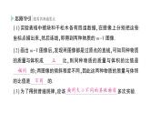 初中物理新沪科版八年级全册第五章第三节 密度作业课件2024秋