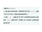 初中物理新滬科版八年級全冊第六章第三節(jié) 來自地球的力作業(yè)課件2024秋
