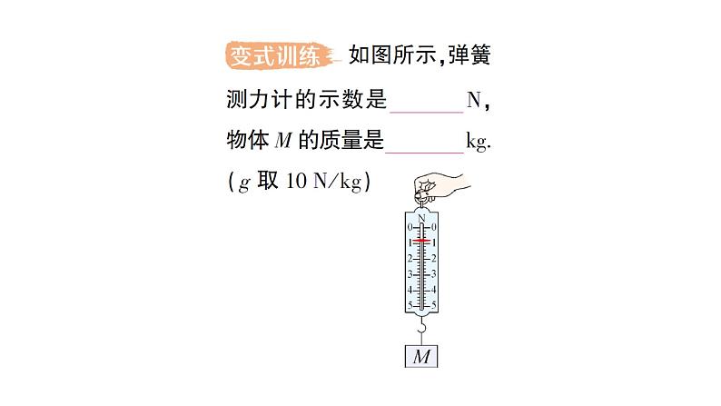 初中物理新沪科版八年级全册第六章第三节 来自地球的力作业课件2024秋第6页