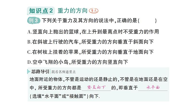 初中物理新沪科版八年级全册第六章第三节 来自地球的力作业课件2024秋第7页