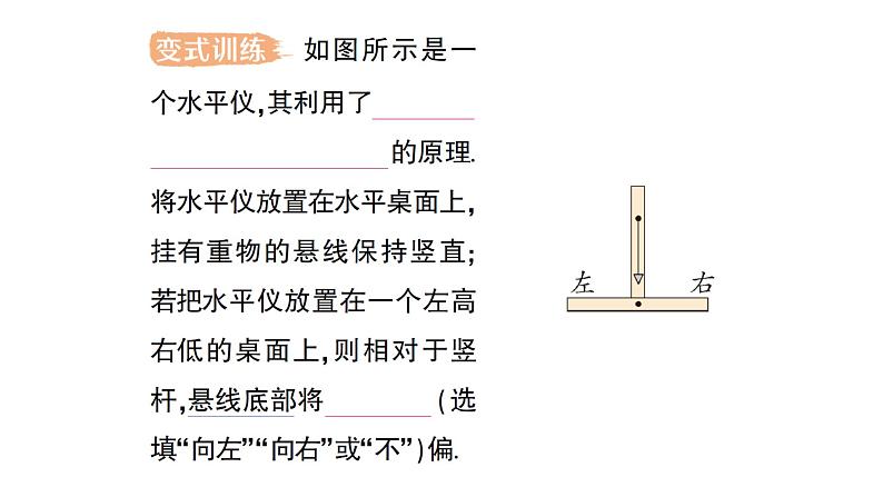 初中物理新沪科版八年级全册第六章第三节 来自地球的力作业课件2024秋第8页