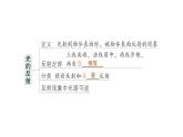初中物理新沪科版八年级全册第三章 光的世界复习提升作业课件2024秋