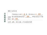 初中物理新沪科版八年级全册第三章 光的世界复习提升作业课件2024秋