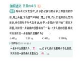 初中物理新沪科版八年级全册第五章第一节 质量作业课件2024秋
