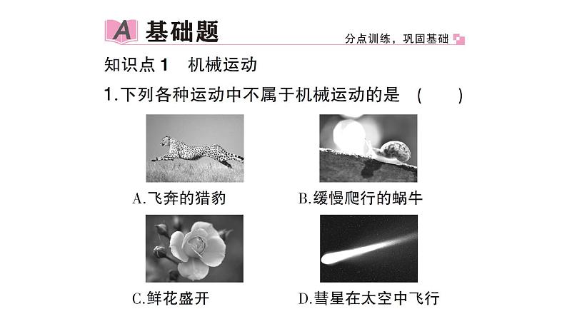 初中物理新沪科版八年级全册第一章第一节 动与静作业课件（2024秋）第2页