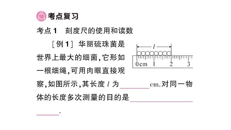 初中物理新沪科版八年级全册期末复习（一） 运动的世界作业课件（2024秋）第2页