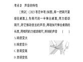 初中物理新沪科版八年级全册期末复习（二） 声的世界作业课件（2024秋）