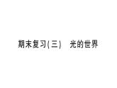 初中物理新沪科版八年级全册期末复习（三） 光的世界作业课件（2024秋）