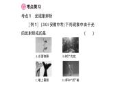 初中物理新沪科版八年级全册期末复习（三） 光的世界作业课件（2024秋）