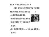 初中物理新沪科版八年级全册期末复习（三） 光的世界作业课件（2024秋）