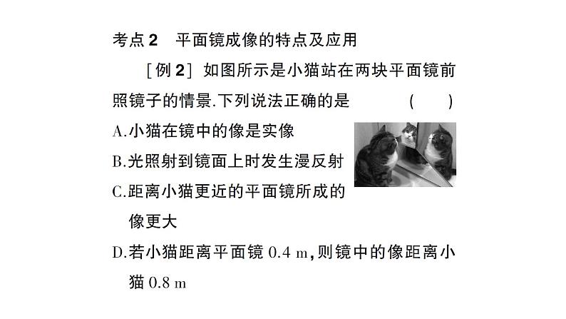 初中物理新沪科版八年级全册期末复习（三） 光的世界作业课件（2024秋）第3页