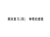 初中物理新沪科版八年级全册期末复习（四） 神奇的透镜作业课件（2024秋）