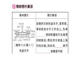 初中物理新滬科版八年級全冊第五章 質(zhì)量與密度復習訓練作業(yè)課件（2024秋）