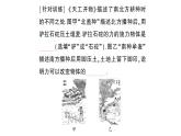 初中物理新沪科版八年级全册期末复习（六） 熟悉而陌生的力作业课件（2024秋）