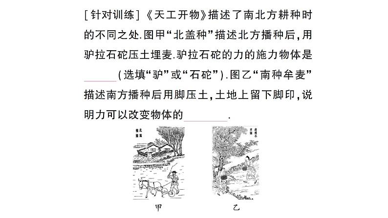 初中物理新沪科版八年级全册期末复习（六） 熟悉而陌生的力作业课件（2024秋）第3页