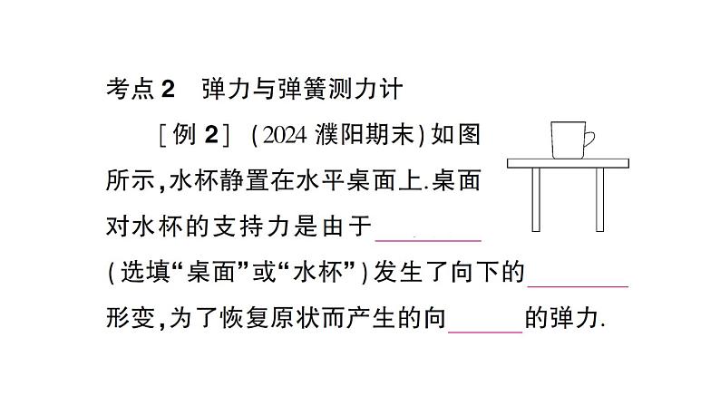 初中物理新沪科版八年级全册期末复习（六） 熟悉而陌生的力作业课件（2024秋）第4页