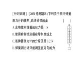 初中物理新沪科版八年级全册期末复习（六） 熟悉而陌生的力作业课件（2024秋）