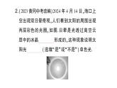初中物理新沪科版八年级全册第三章第四节 光的色散作业课件（2024秋）