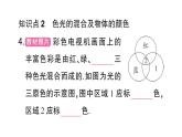 初中物理新沪科版八年级全册第三章第四节 光的色散作业课件（2024秋）
