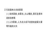 初中物理新滬科版八年級全冊第四章實(shí)踐 探究森林火情緣由作業(yè)課件（2024秋）
