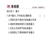 初中物理新滬科版八年級全冊第六章第三節(jié) 來自地球的力作業(yè)課件（2024秋）