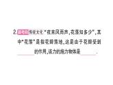 初中物理新滬科版八年級全冊第六章第三節(jié) 來自地球的力作業(yè)課件（2024秋）