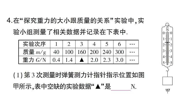 初中物理新沪科版八年级全册第六章第三节 来自地球的力作业课件（2024秋）第5页